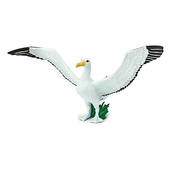 albatross Safari Ltd. Wings Of The World 150729 - large albatros